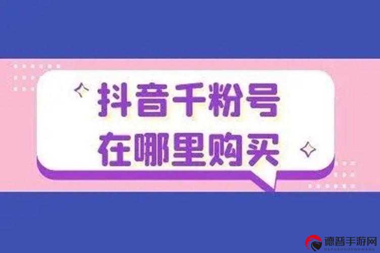 抖音 1000 个粉丝 100 元真实吗，探究抖音粉丝交易背后的真相与风险